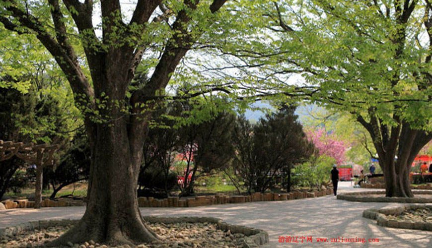龙王塘樱花园