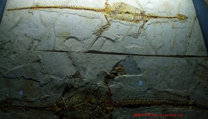上河首古生物化石园区